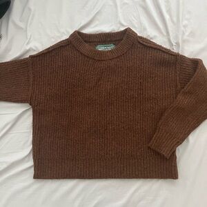 American Eagle Brown Sweater
